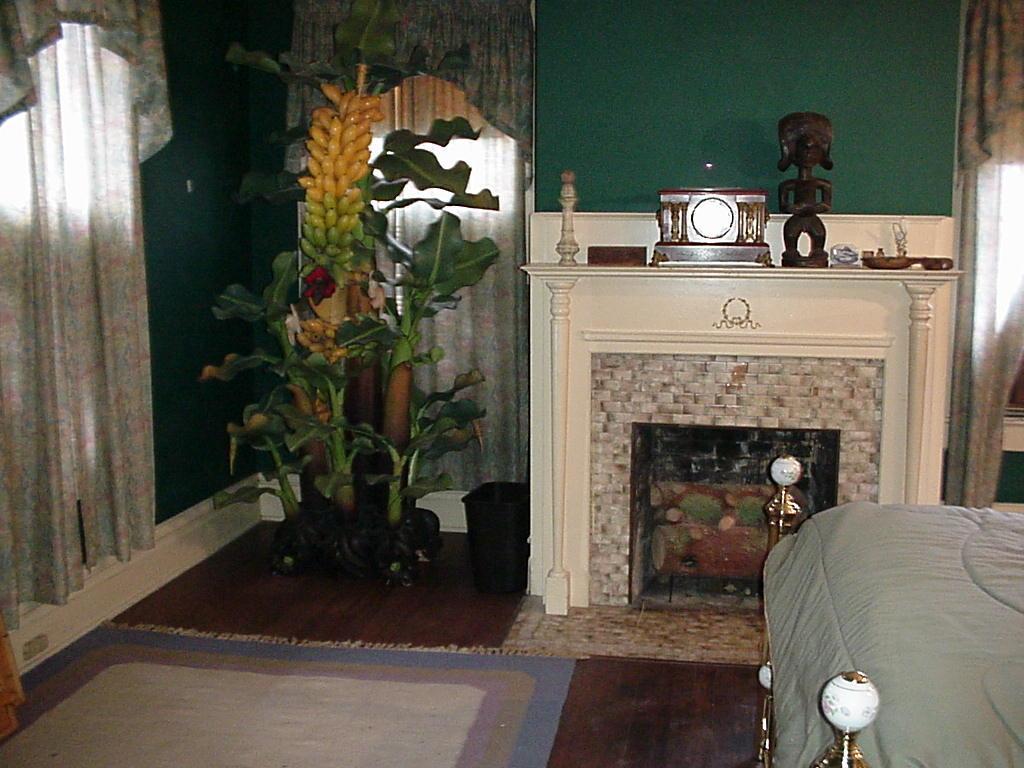 Daffodale House Estate Монтичело Екстериор снимка
